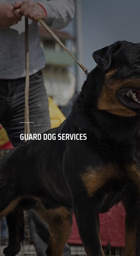 Guard Dog security